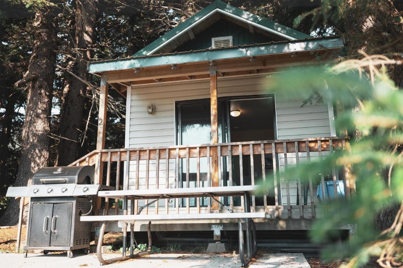 Cabin 1 Lynn View Lodge Haines Extérieur photo