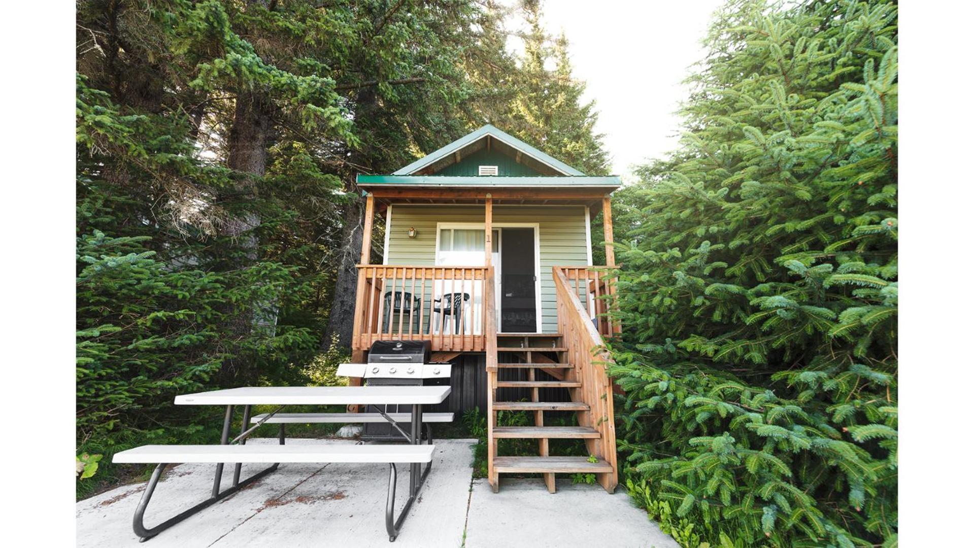 Cabin 1 Lynn View Lodge Haines Extérieur photo