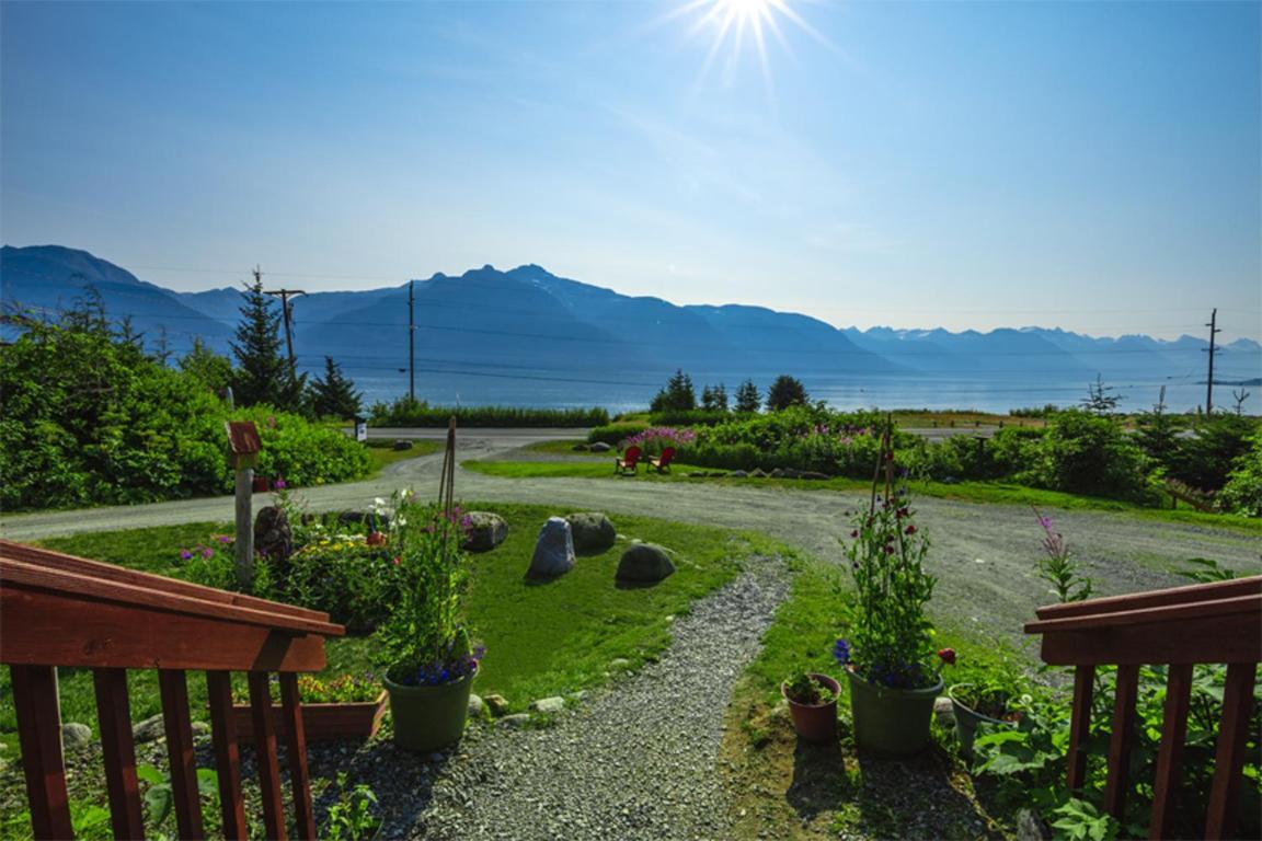 Cabin 1 Lynn View Lodge Haines Extérieur photo